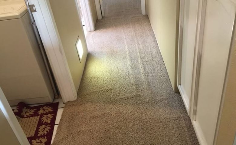 Carpet Steam Cleaning 
