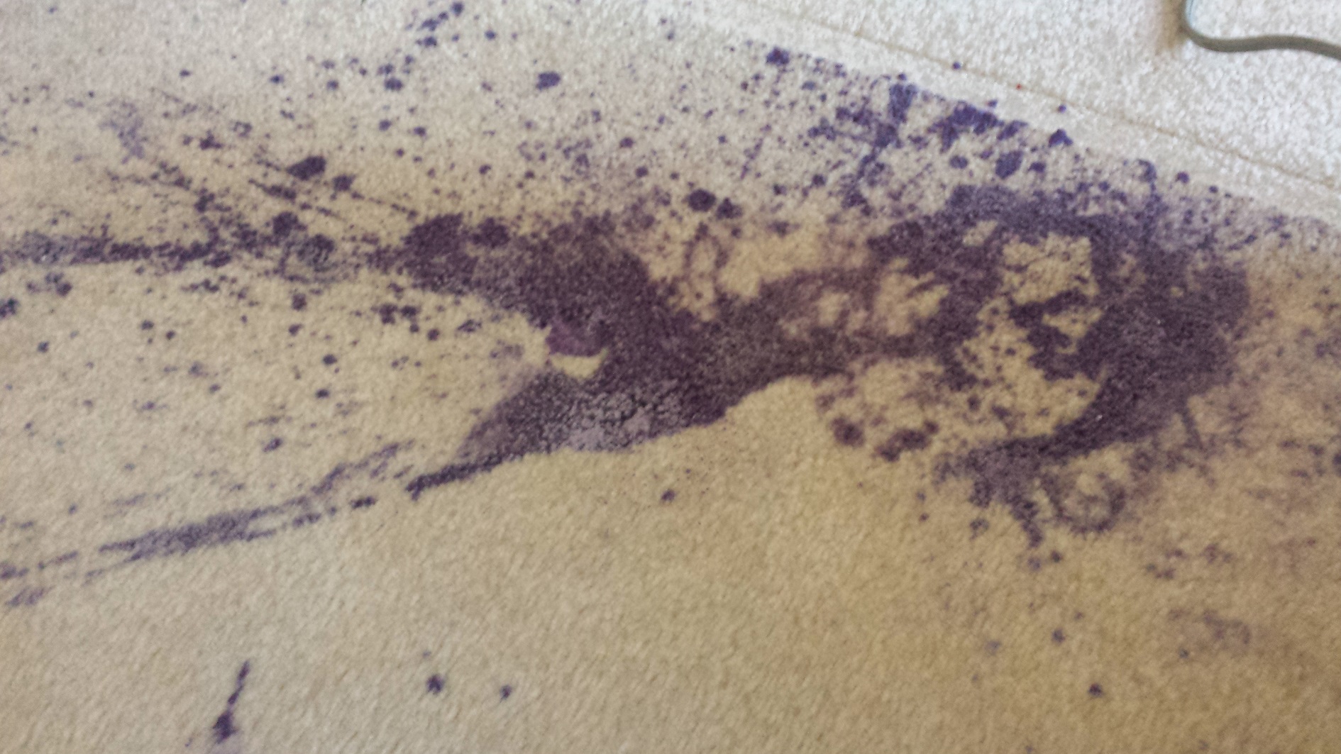 Carpet Stain Removal 